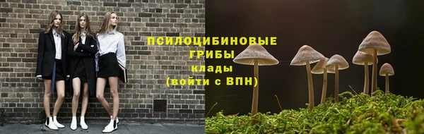 СК Абинск