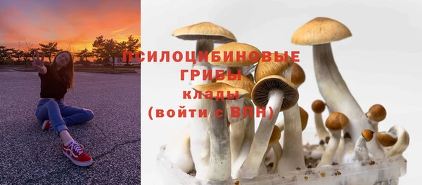 амф Абаза