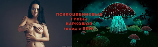 ПСИЛОЦИБИНОВЫЕ ГРИБЫ Абдулино