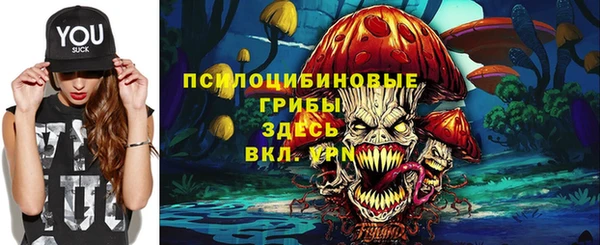 ПСИЛОЦИБИНОВЫЕ ГРИБЫ Абдулино