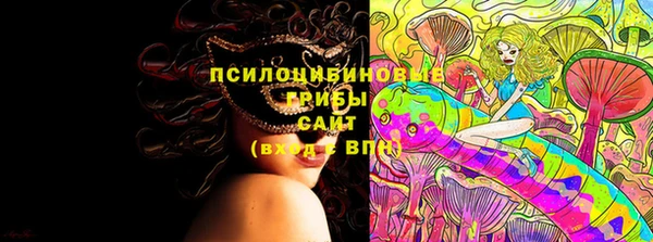 ПСИЛОЦИБИНОВЫЕ ГРИБЫ Абдулино