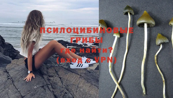 а пвп мука Ростов