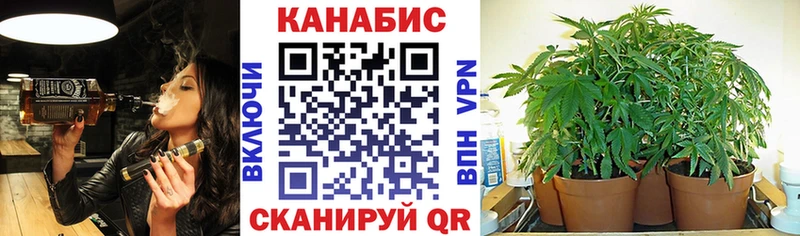 Канабис VHQ  закладки  KRAKEN ссылка  Емва 